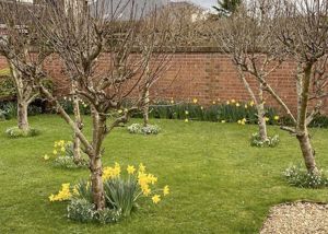 Photo 26- click for photo gallery